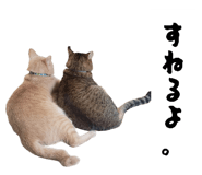 844712183