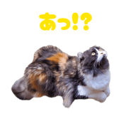 844712188
