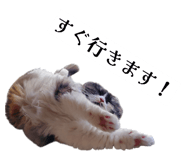 844712192