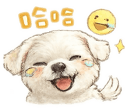 844713925