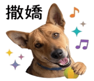 844716969