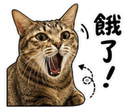 844717522