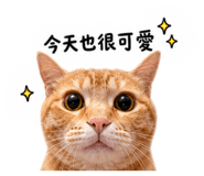 844717650