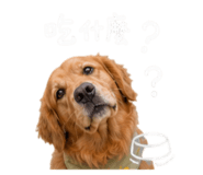 844717662