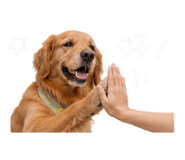 844717672