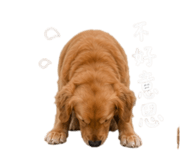 844717678