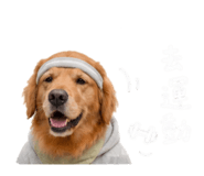844717694