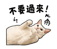 844717835