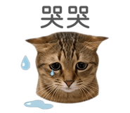 844718037