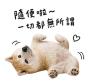 844718378