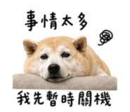 844718379