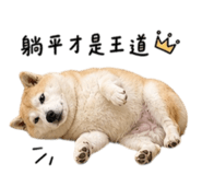 844718381