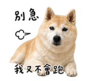 844718383