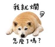 844718384