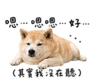 844718387
