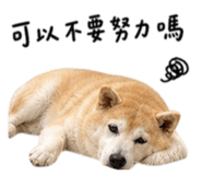 844718391
