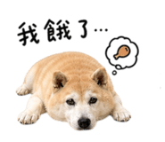 844718392