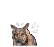 844718531