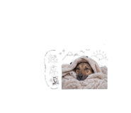844718533