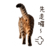 844720382