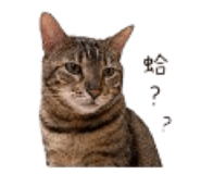 844720388