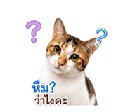 844721632
