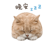 844722037