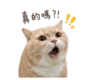 844722039