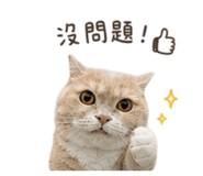 844722041