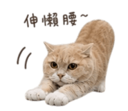 844722056