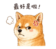 844722314
