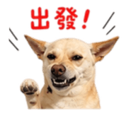 844723202