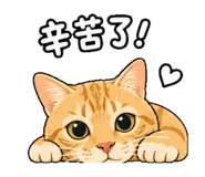 844723455