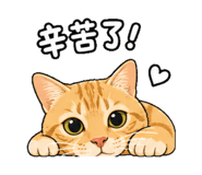 844723461