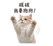 844723920