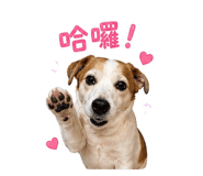 844726313