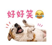 844726341