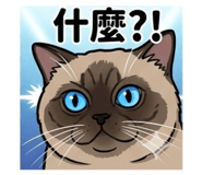 844726528