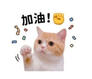 844726735