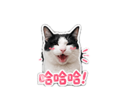 844727355