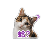 844727356