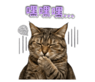 844727968