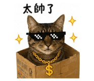 844728377