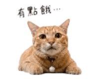 844728501