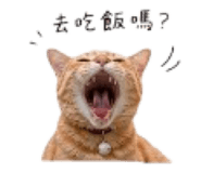 844728502