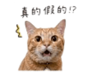 844728505