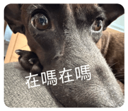 844730049