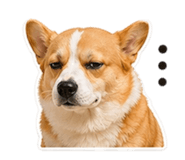 844730304