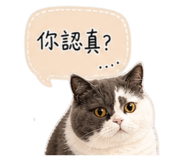 844730319