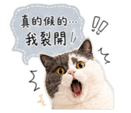 844730324